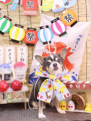 20240727メルくん